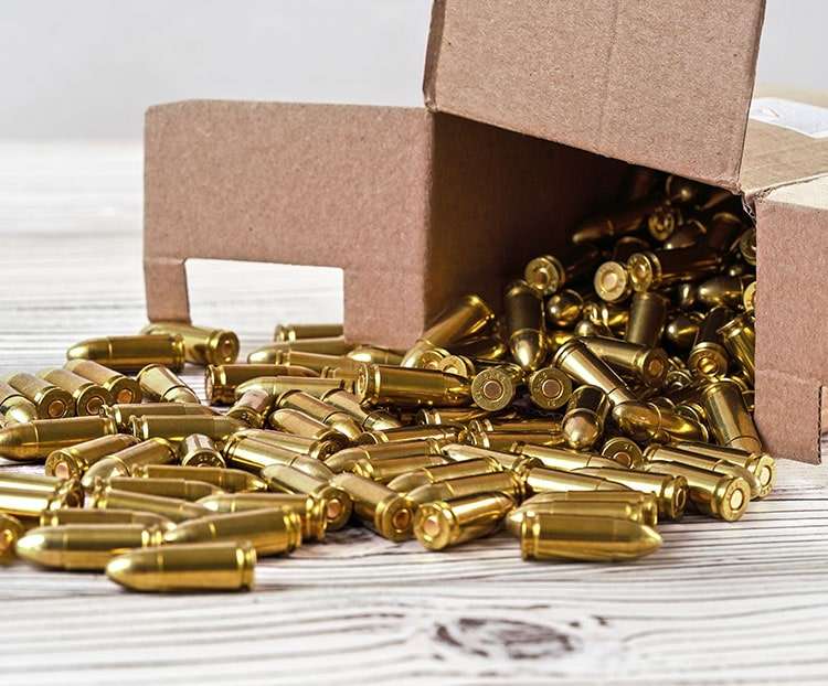 rlb_0004_bws_1477517537-min